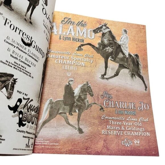 The Walking Horse Report -July 24 , 2023 CORNERSVILLE LIONS CLUB Grand Champ - Picture 6 of 7